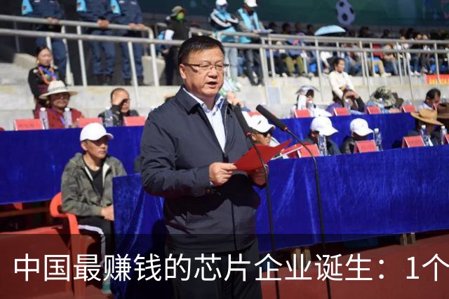 中国最赚钱的芯片企业诞生：1个月利润，是中芯国际3年的利润