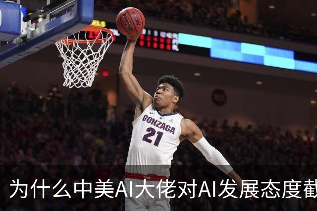 为什么中美AI大佬对AI发展态度截然相反？