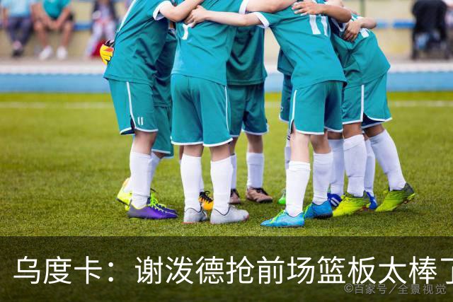 乌度卡：谢泼德抢前场篮板太棒了，我很喜欢