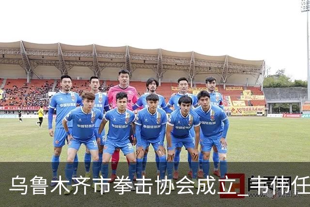 乌鲁木齐市拳击协会成立 韦伟任会长