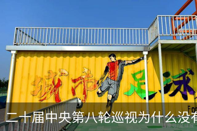 二十届中央第八轮巡视为什么没有公布巡视组名单和联系方式？
