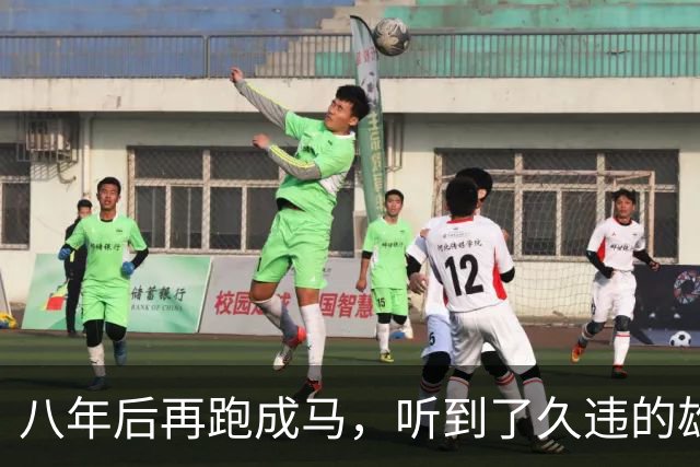 八年后再跑成马，听到了久违的雄起声