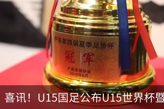 喜讯！U15国足公布U15世界杯暨足球节出征名单，周海滨挂帅