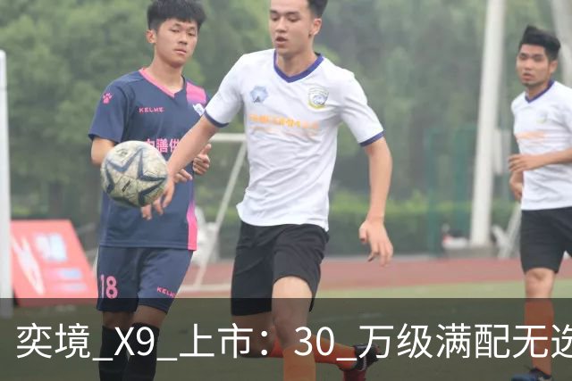 奕境 X9 上市：30 万级"满配无选装"，戳破的是整个行业的选装生意