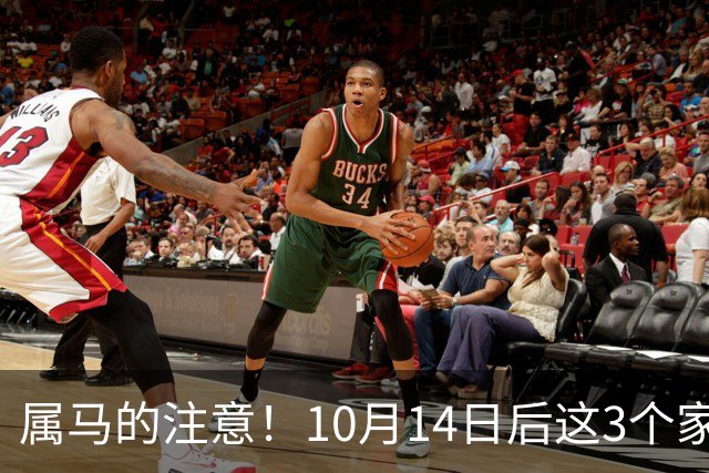 属马的注意！10月14日后这3个"家贼"正盯着你，再不防就晚了