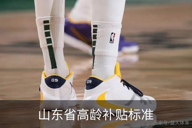 山东省高龄补贴标准