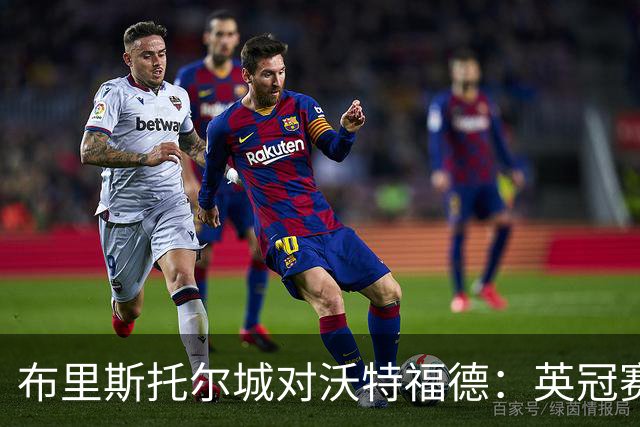 布里斯托尔城对沃特福德：英冠赛事信息