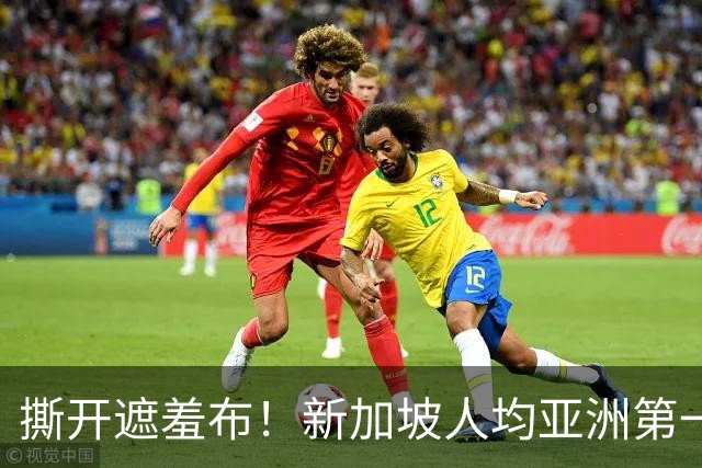 撕开遮羞布！新加坡人均亚洲第一却不幸福，前外长说出扎心真相