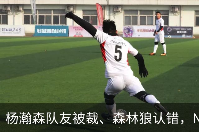 杨瀚森队友被裁、森林狼认错，NBA高个控卫实验，为什么都失败了