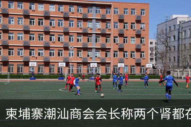 柬埔寨潮汕商会会长称两个肾都在！