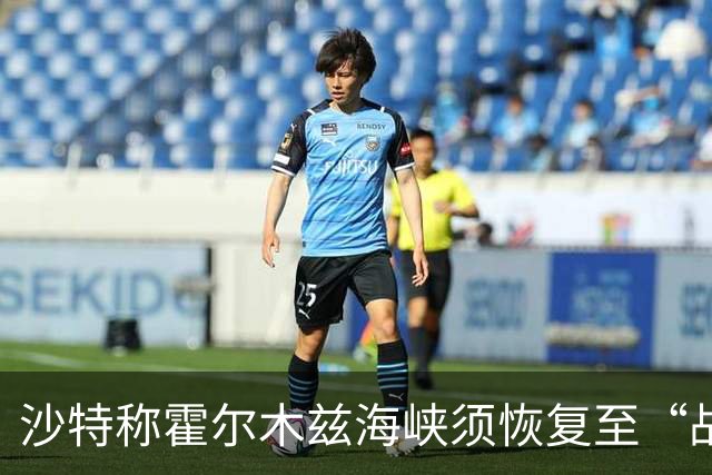 沙特称霍尔木兹海峡须恢复至“战前状态”