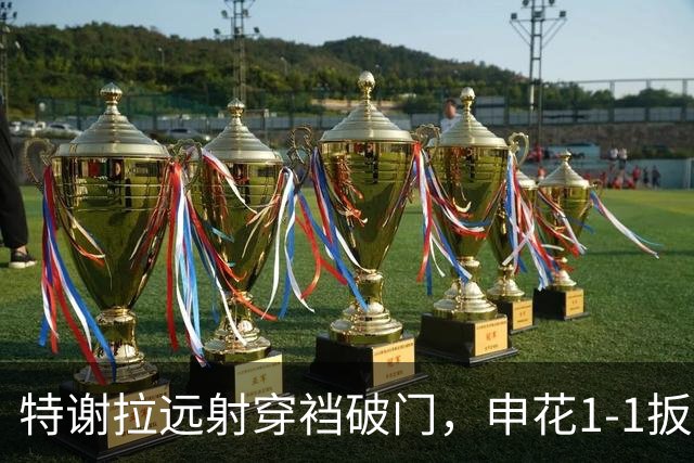特谢拉远射穿裆破门，申花1-1扳平新鹏城