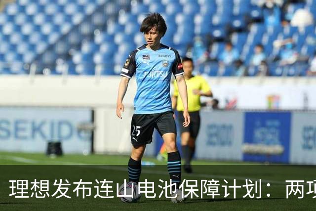 理想发布连山电池保障计划：两项终身保障，电池不自燃碰撞不起火