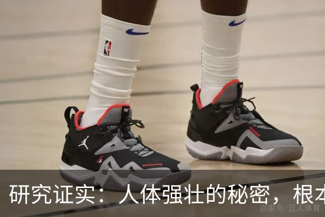 研究证实：人体强壮的秘密，根本不是肌肉！而是这几个东西