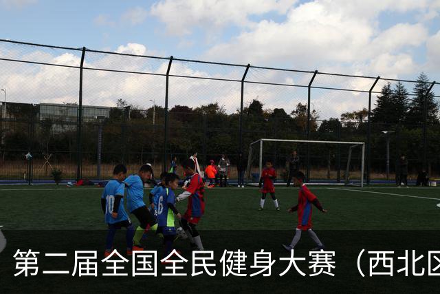 第二届全国全民健身大赛（西北区）匹克球比赛在青海开赛-国际在线