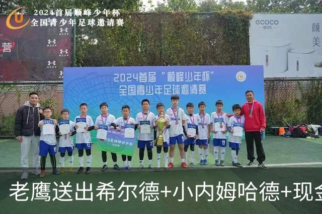 老鹰送出希尔德+小内姆哈德+现金 从黄蜂换回DFS