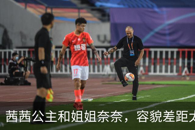 茜茜公主和姐姐奈奈，容貌差距太大了，难怪弗兰兹国王临时改变主意