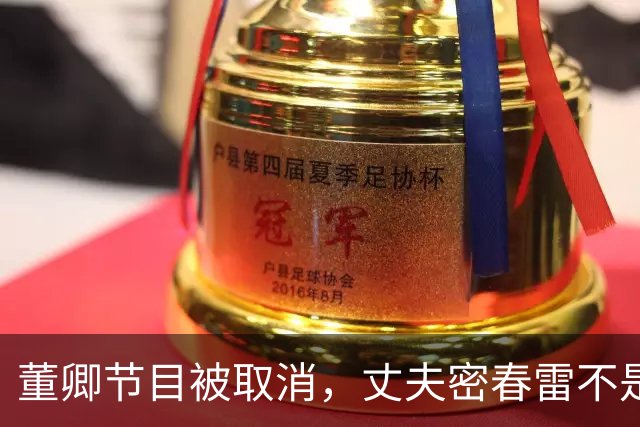 董卿节目被取消，丈夫密春雷不是关键原因，项立刚一语道出实情