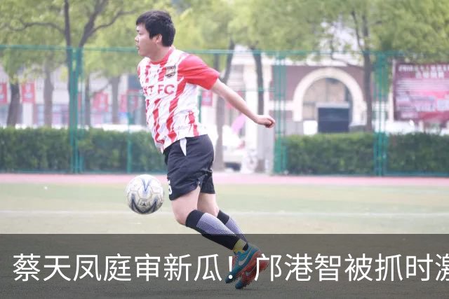 蔡天凤庭审新瓜！邝港智被抓时激烈反抗，右脸被擦伤，逃脱地存疑