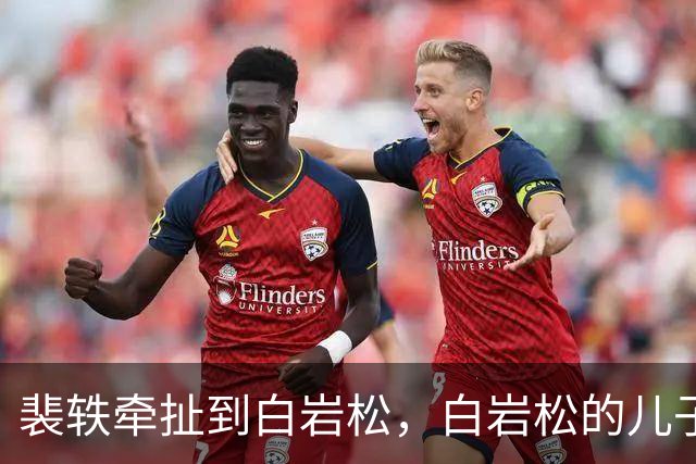 裴轶牵扯到白岩松，白岩松的儿子在英国读蒙古史，回国到中央民族大学任教