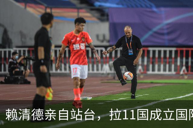 赖清德亲自站台，拉11国成立国际组织，大陆还没发话，岛内先拆台