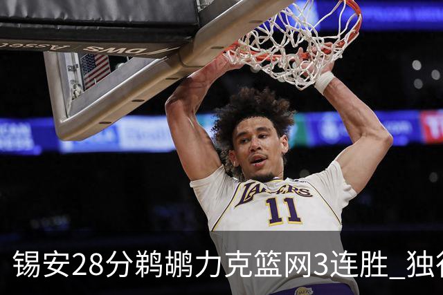 锡安28分鹈鹕力克篮网3连胜 独行侠险胜马刺