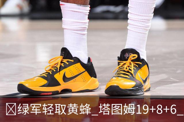 🏀绿军轻取黄蜂 塔图姆19+8+6 乔治10中2 米勒17中4&16+5