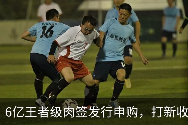 6亿王者级肉签发行申购，打新收益高，股民中签了就赚！