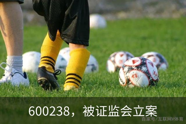 600238，被证监会立案